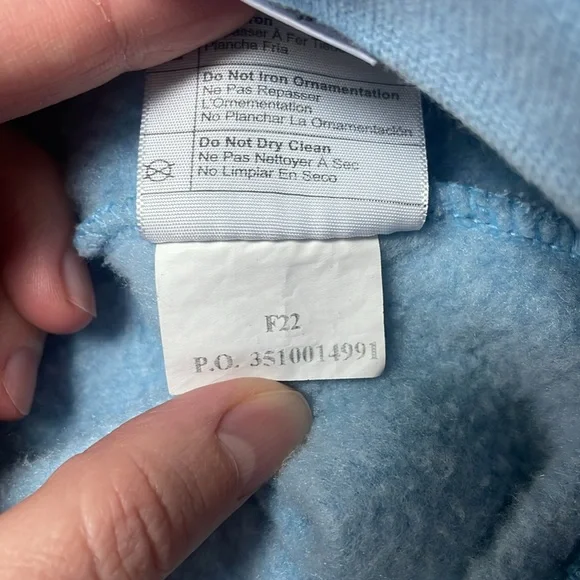 Carhartt Graphic Sweatshirt Hoodie Women’s Size Small Loose Fit From Fall 2022 - Picture 7 of 10